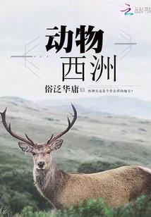 武之证道