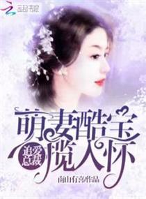 将军大人请留步
