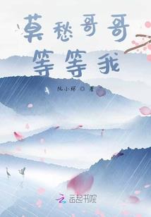 圣帝之龙魂