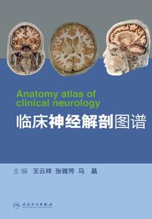 我和僵尸有个约会之完美盘古