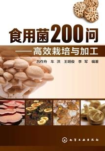 崇诡之都