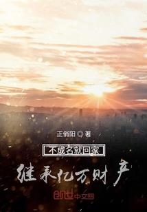 再嫁公主