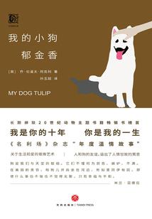 重生之最强召唤师