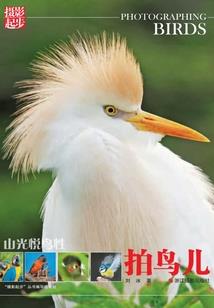 百转轮回无线新生