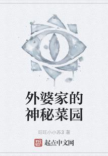 时间之光