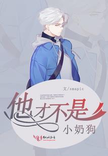 刹那芳华记