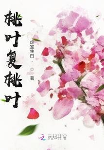 魅惑之魅力总裁