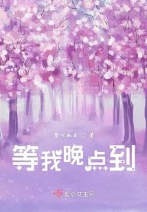 《凤飞天下》