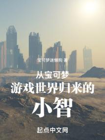 契约休夫，出逃的王妃