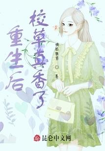风云九界之葬兵界