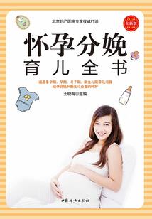 宠物小精灵之暗天