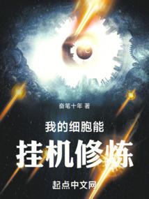 我的次元征程