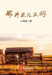 一球亦界
