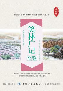 背上五把剑的辅助