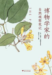 惊天迷踪魂牵梦