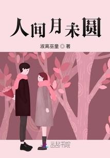 大观园记事