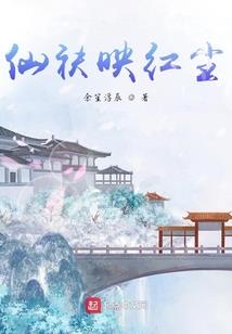 网球王子之泷之殇