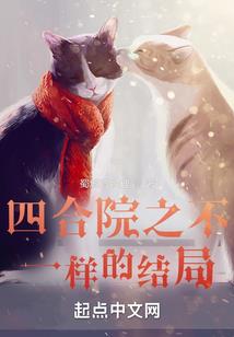 西宫才女：隐风少女