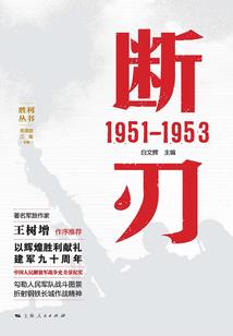 黑暗凤主