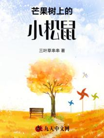 九域星穹