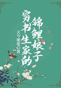 圆梦金甲