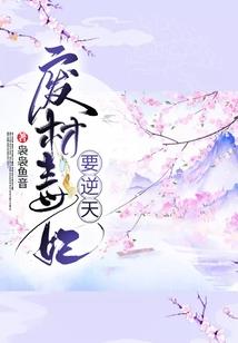 次元巡游者