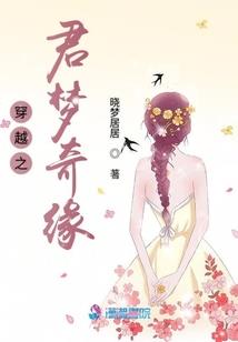 理想与放荡