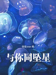 神衹：圣光之主