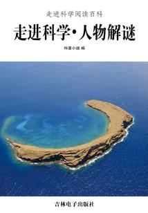 飞虎军之乱世江山