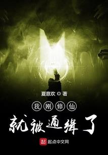 人在极狐，凹凸元力带扣