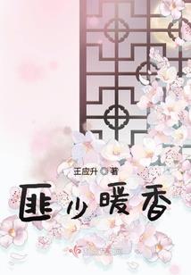 传奇指挥官