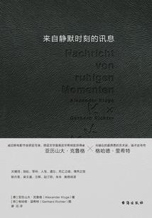 神奇宝贝之行天下