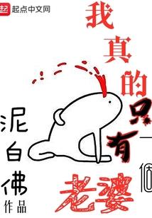 冷王专宠小狐妃