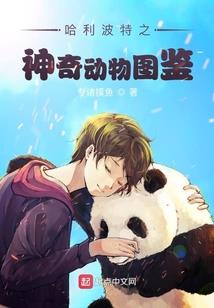 魔武法则