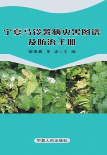 山海之恋