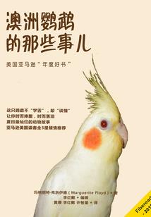 灵动苍穹传