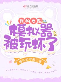 天境神婿