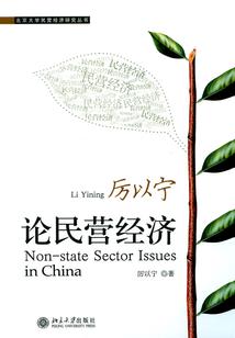 幻世冰皇