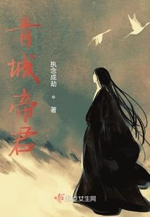 倾城恋之爱无痕