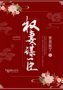 翼之傲世录