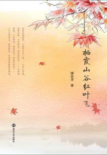 梦幻孔明灯