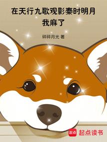 追凶秘录之青年包拯