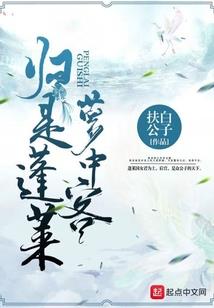 肆申日记：卧龙