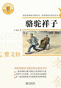 剑弑征途