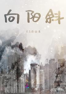 朱志辉的抉择