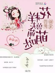 小瓷片