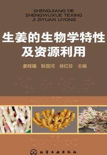 向善吧！女反派们