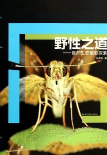 老祖下山：我本一心问长生