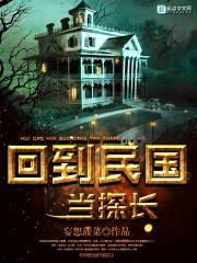 诸葛云传奇