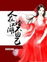 诸葛在21世纪